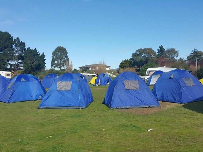 Tent Sites at Waikouaiti Beach Motor Camp